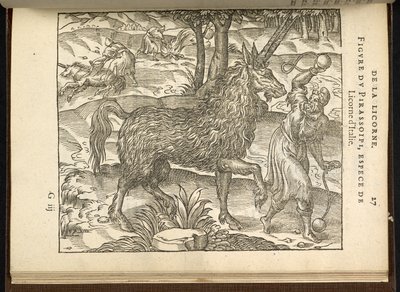 Jakten på en tvillinghornet enhjørning (en pirassoipi.) fra 'Discours d'Ambroise Pare...', Paris 1582 (gravering) av French School