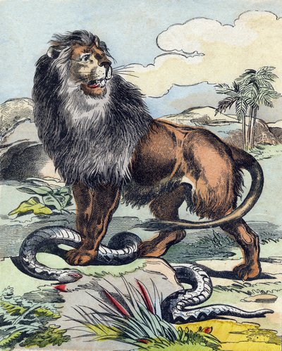 Løven. Gravering i "Buffon Alphabet des Animaux". 3. serie N 1. Avbildning av Epinal, Epinal, sent på 1800-tallet. 16 sider. Mål: 28x21cm av French School