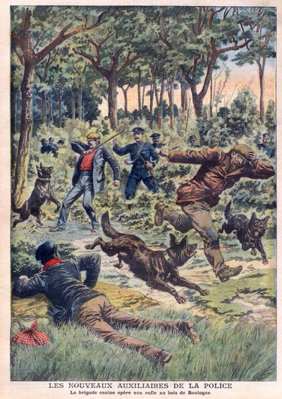 De nye politihjelperne: hundebrigaden driver en roundup ved Bois de Boulogne, illustrasjon fra «Le Petit Journal» av 28. juli av French School