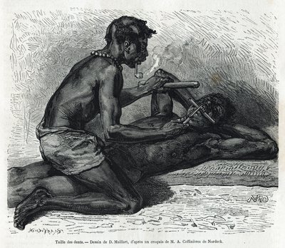 Størrelsen på tennene i Okanda, tegning av D. Maillard, for å illustrere historien om en tur til Gabon og elven Ogoue i 1875-1877, av Alfred Marche. Gravering i Le tour du monde av French School