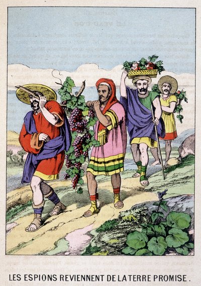 Die Spione kehren aus dem Gelobten Land zurück - in „Das Leben des Moses“, ed. Olivier Pinot, Epinal, Ende des 19. Jahrhunderts von French School