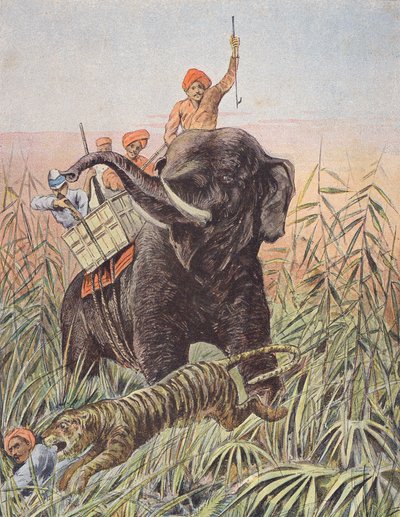 Tigerjakt, India (fargelitografi) av French School