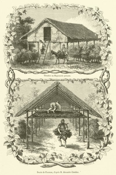 Tilembar ou Magnanerie persane (gravering) av French School
