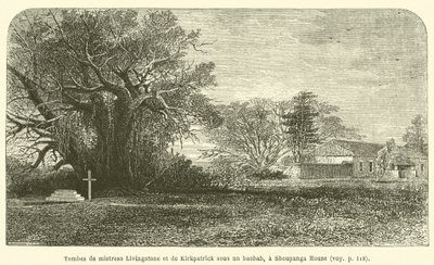 Graver av fru Livingstone og Kirkpatrick under et baobabtre, ved Shoupanga House (gravering) av French School