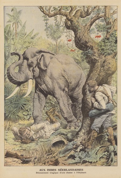Tragisk avslutning på en elefantjakt i Nederlandsk Øst-India (farge litho) av French School