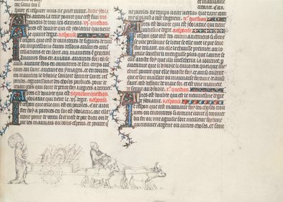 Transportere eiendeler i en oksevogn, uferdig miniatyr fra The Bible of Jean de Sy, ca. 1355 av French School
