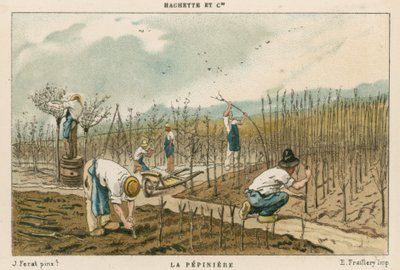 Trebarnehage av French School