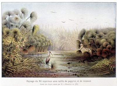Øvre Nil-passasje med papyrus og sivkvadrater. av French School