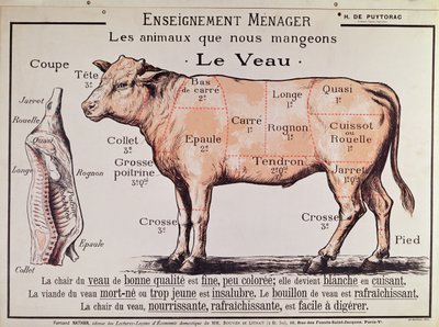 Kalvekjøtt: diagram som viser de forskjellige kjøttstykkene av French School