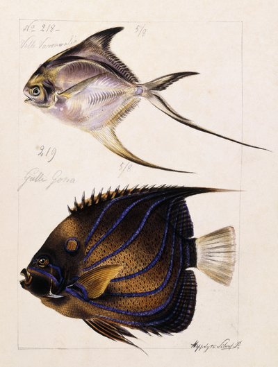 Velle... Etc, c.1850 av French School