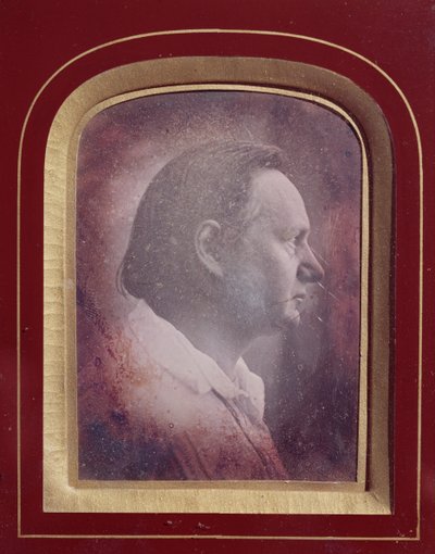 Victor Hugo (1802-85) (daguerreotypi) av French School