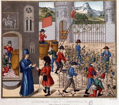 Vindyrking og vinproduksjon i middelalderen av French School
