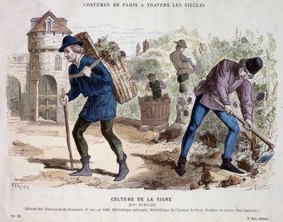 Vinrankekultur på 1400-tallet - i "" Costume de Paris gjennom århundrene"" av French School