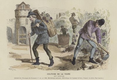 Vindyrking, 1400-tallet av French School
