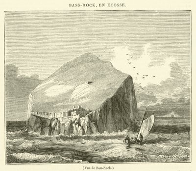 Vue de Bass-Rock (gravering) av French School