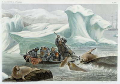 Hvalrossjakt - i "" Le monde de la mer "" av Alfred Fredol, Hachette, Paris av French School
