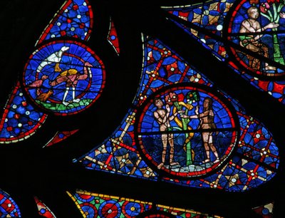 Vindu w115 som viser skapelsen: fugler, Adam & Eva og slangen av French School