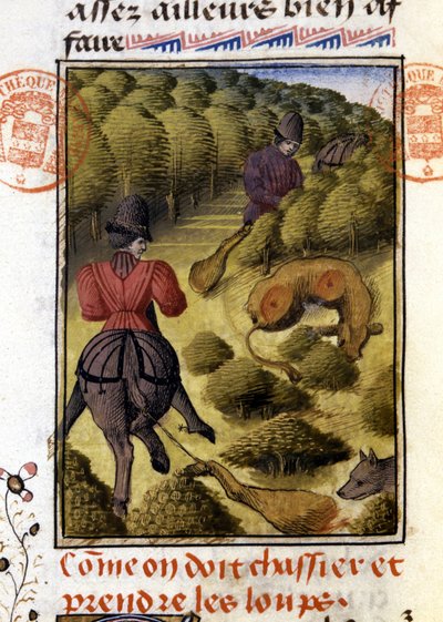 Wolf Hunt- i "" Hunting Book of Gaston Phoebus, Count of Foix, Lord of Béarn"" av French School