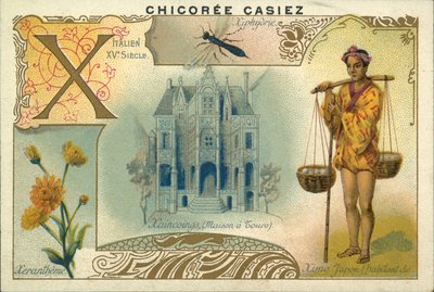 Xeranthemum, Ximo japansk, House a Tours og treveps (chromolitho) av French School