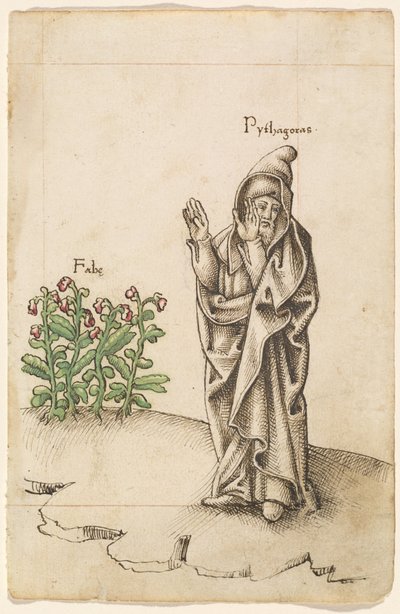 "Ikke spis bønner" [fol. 25 recto] av French early 16th Century