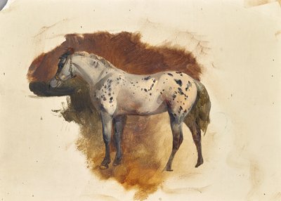 Flekk mugg av Friedrich August Mathias Gauermann