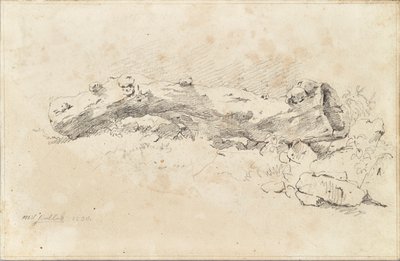 Liggende hul trestamme av Friedrich August Mathias Gauermann