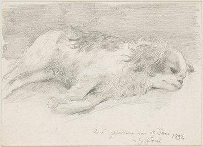 hundestudier av Friedrich August von Kaulbach