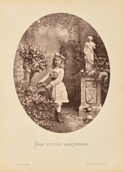  av Friedrich Bruckmann