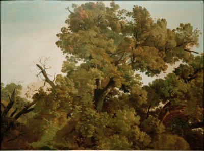  av Friedrich Nerly