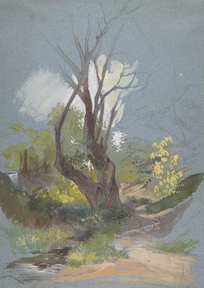 Fjellsti med et tre, 1820-78. av Friedrich Nerly
