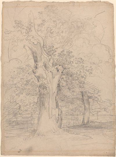 Et eldgammelt tre med figurer i et landskap av Friedrich Salathé