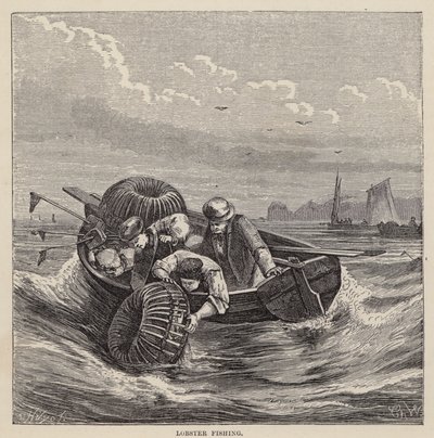 Hummerfiske (farget gravering) av Friedrich Specht