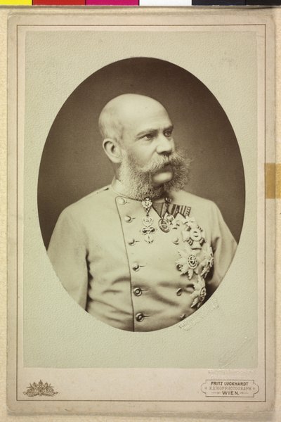  av Fritz Luckhardt