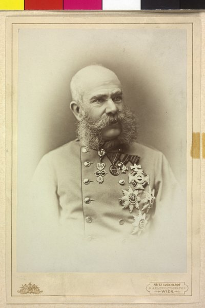  av Fritz Luckhardt