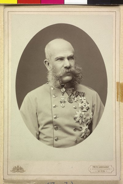  av Fritz Luckhardt