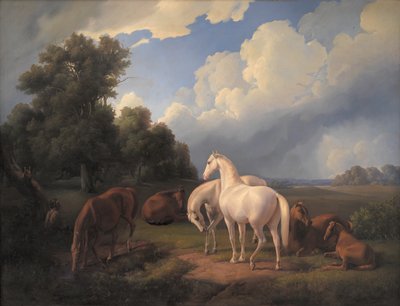 Lucia, Whimsey, Bellona, Hertha, Olga av Fritz Thomsen
