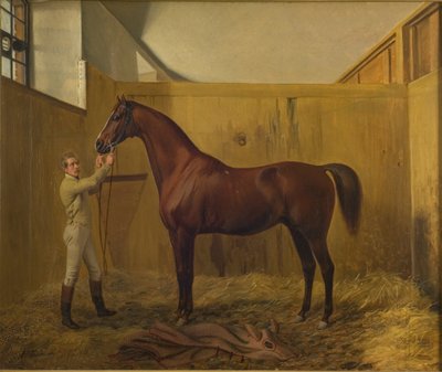 Rubiner av Fritz Thomsen