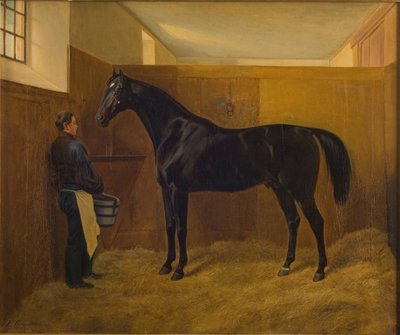 Ben av Fritz Thomsen