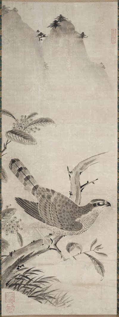 Hauk av Fujiwara Masayoshi