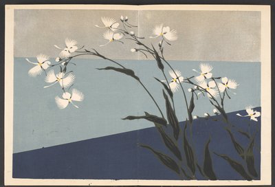 Shasei sôka môyô, Mønstre av planter og blomster fra livet av Furuya Korin