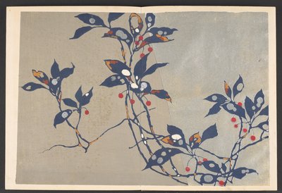 Shasei sôka môyô, Mønstre av planter og blomster fra livet av Furuya Korin