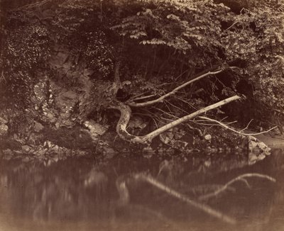 Elvebredden i Vale of Neath, ca. 1855. av G. B. Gething