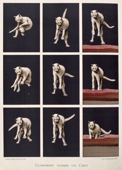 How a Cat Falls, fra The Last Wonders of Science av Daniel Bellet (chromolitho) av G. Lasellaz