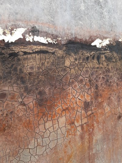  av Gabriela Aleksandra Szuba