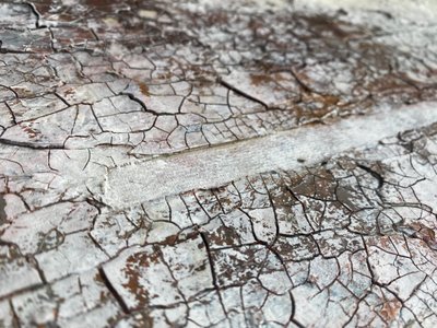  av Gabriela Aleksandra Szuba