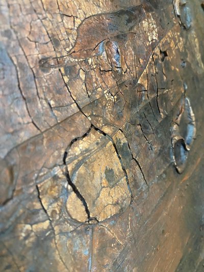  av Gabriela Aleksandra Szuba