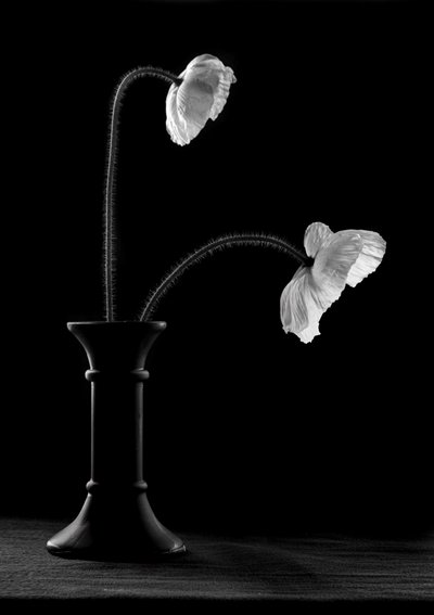  av Gaby Grohovaz