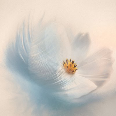 Drømmende blomst og fjær av Gaille Gray