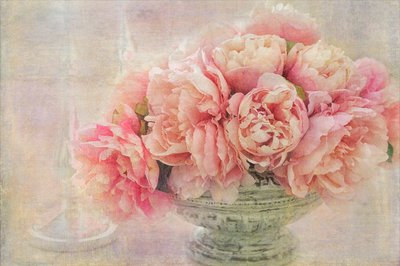 Romantiske rosa pioner av Gaille Gray