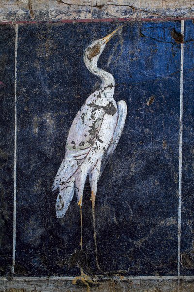 Romersk veggmaleri av Gallo-Roman